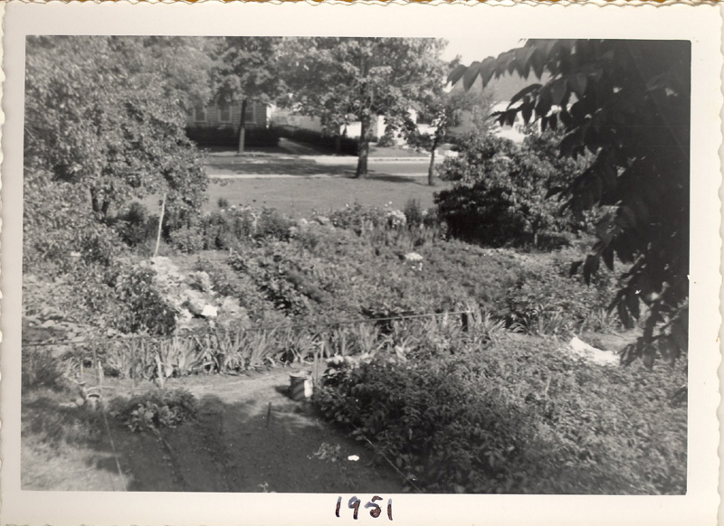 garden1951